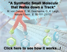 A Synthetic Small Molecule that Walks down a Track
